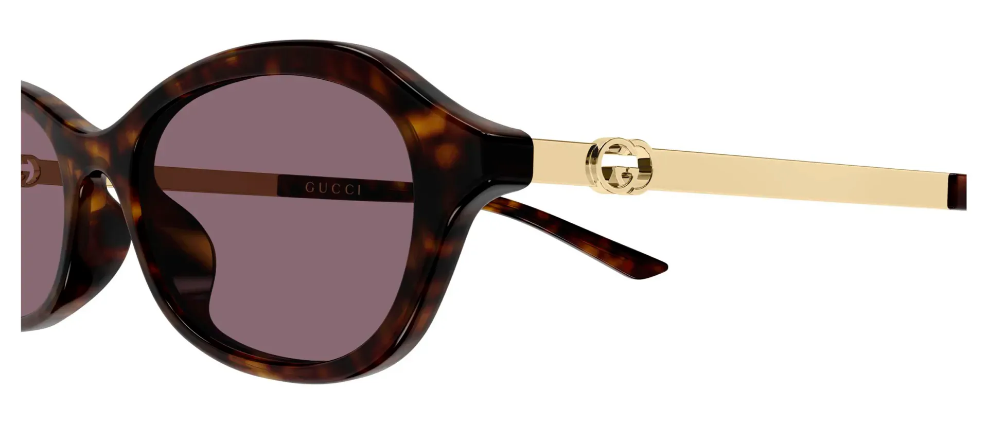 Dodatni prikaz 3: Gucci GG2212S 003 ženske sunčane naočale – okvir Havana uzorka u zlatnoj i smeđoj boji i leće u ljubičastoj boji