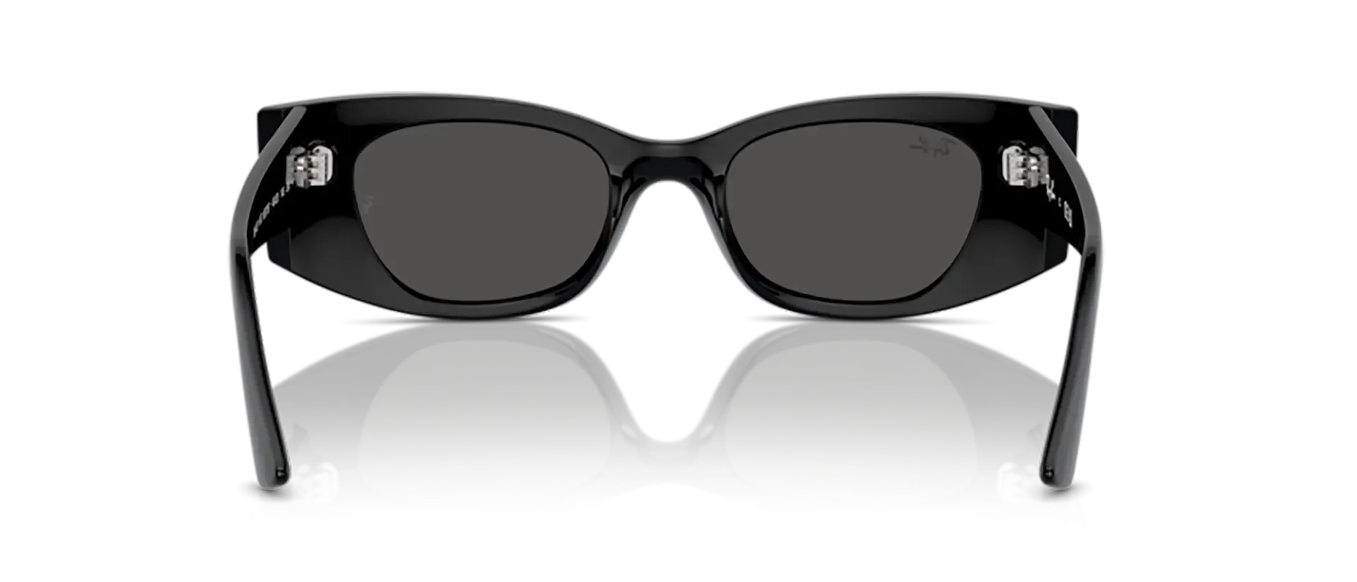 Dodatni prikaz 4: Ray-Ban Kat RB4427 667787 uniseks sunčane naočale – okvir u crnoj boji i leće u sivoj boji