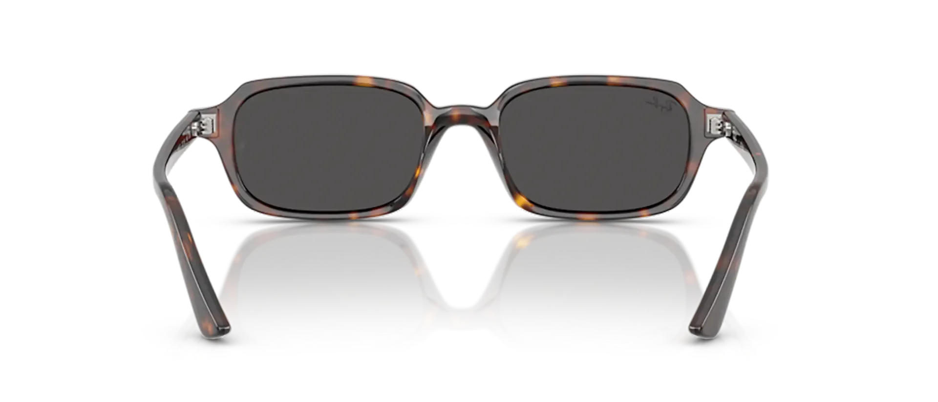 Dodatni prikaz 4: Ray-Ban Zuri RB4455 135987 uniseks sunčane naočale – okvir Havana uzorka u smeđoj boji i leće u sivoj boji