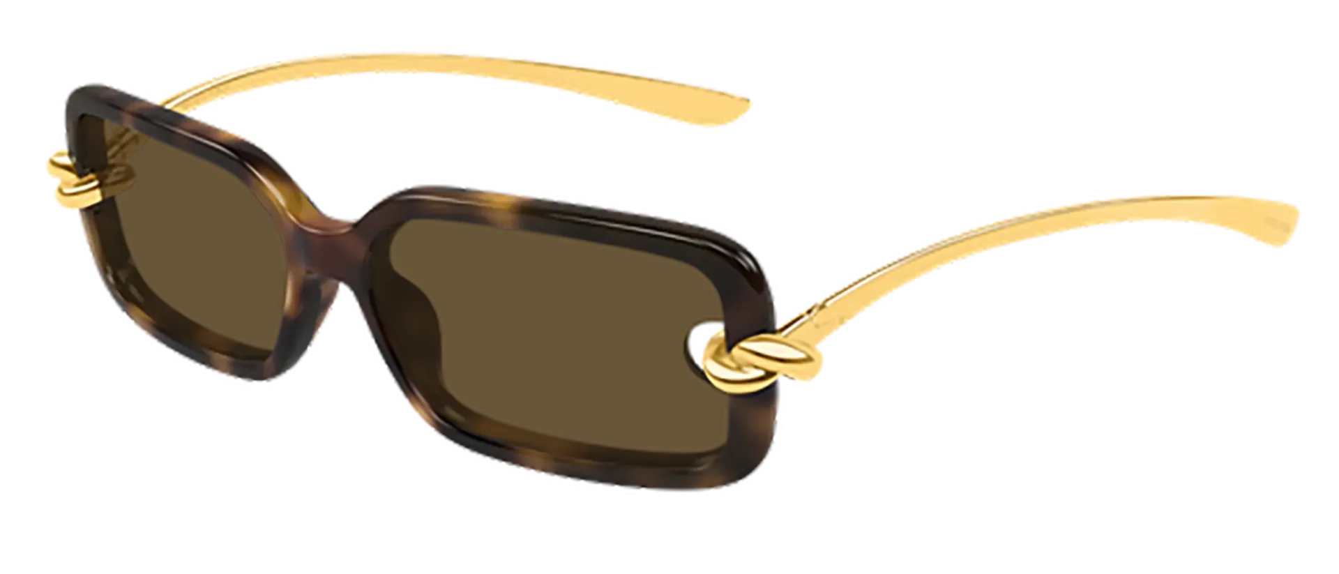 Bottega Veneta BV1439S